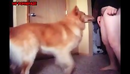 playlist-thumb