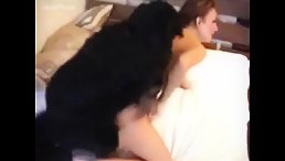 Dog porn compilation for sex