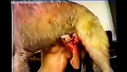 Animal Sex - Fucking Animal Free