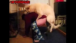 dog rape girl like dog