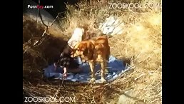 Best Blowjob - Litte Girl Blowjob for dog