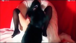 Babe Swallow Cum Dog