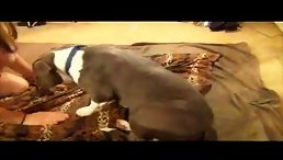 Dirty blonde whore blowjob deep dog's dick