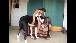 Movie Dog fuck Girl Outdoor