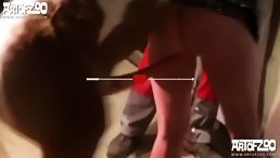 Good Dog Have Sex With Misstress