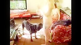 Dirty horny woman let dog fucking hard POV