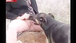 Mature white Public Sex Dog