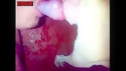 Blowjob Animal Cock