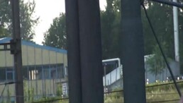 Thumb 6